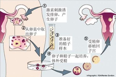 关于清砚堂中医馆